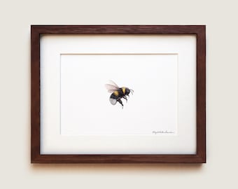 Bumblebee Art Print - Signed, Framed in Oak with Ivory Mat