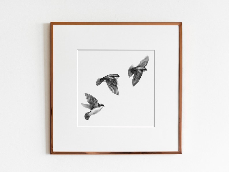 Tree Swallows Tachycineta bicolor Art Print image 1