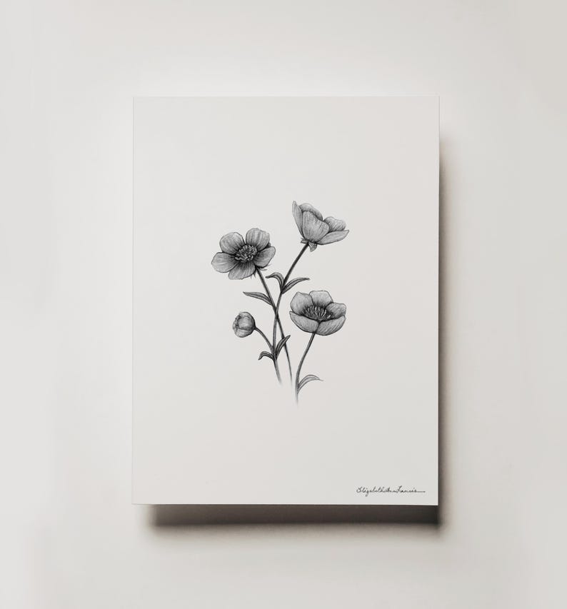 Buttercups Graphite Art Print: Solid Oak Frame, Archival Paper image 2