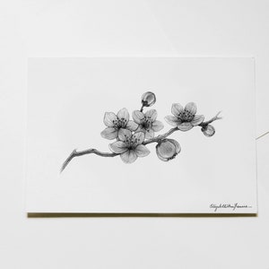 Cherry Blossoms Art Print image 6