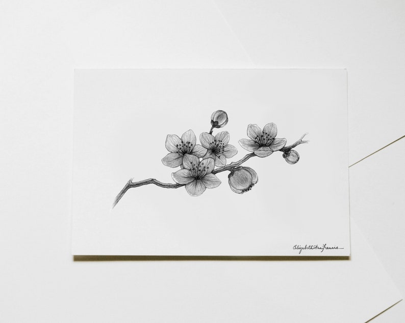 Cherry Blossoms Art Print image 6