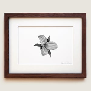 Impresión artística de Trillium / Impresión artística enmarcada