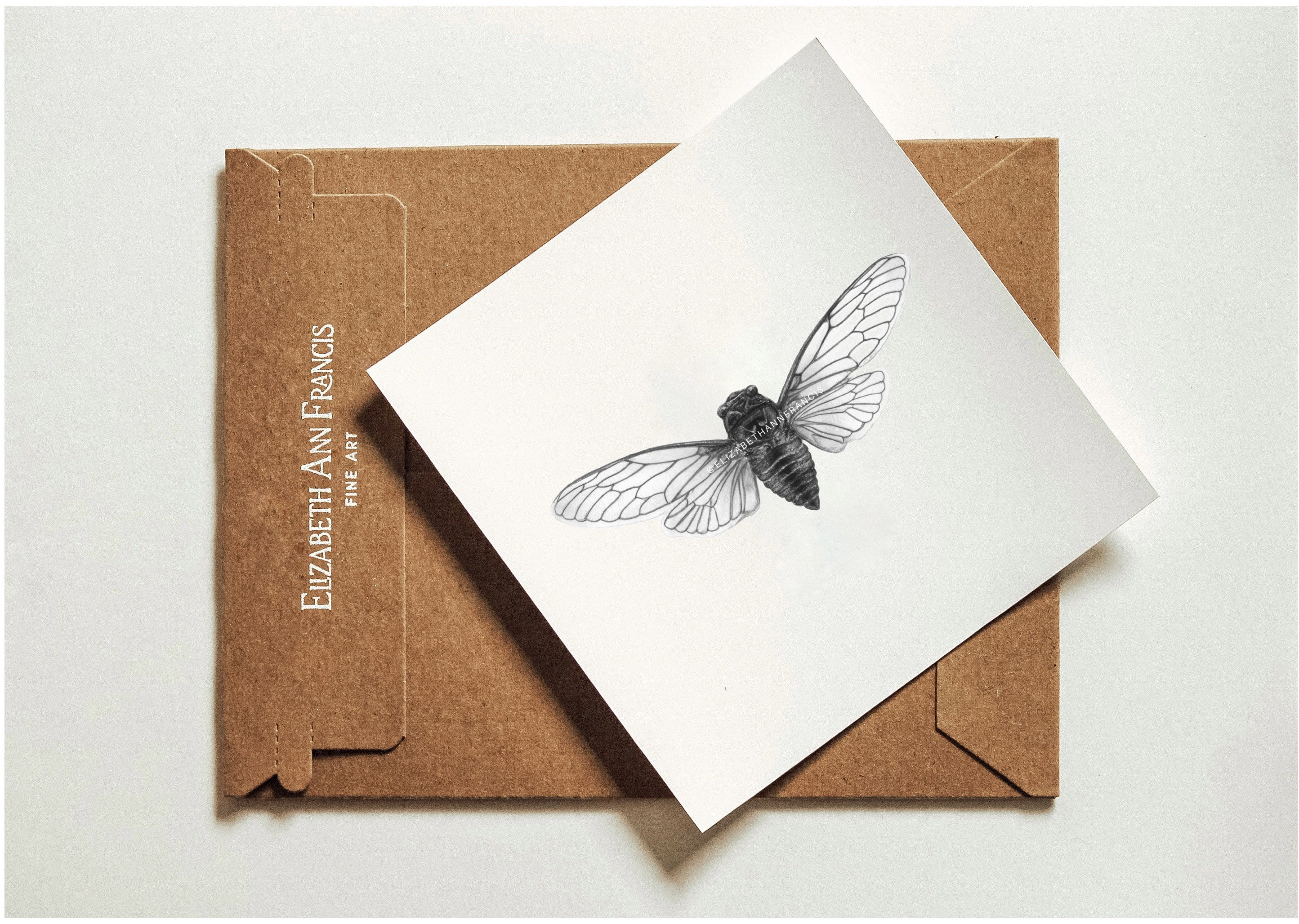 Graphite Insects Canadian Cicada Art Print: Graphite Insect Illustration, Oak Frame - Etsy