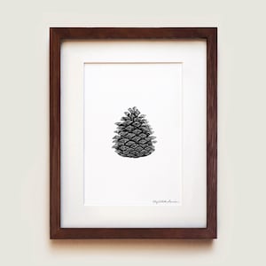 May include: A framed black and white illustration of a pine cone. The illustration is on white paper and is framed in a dark brown wood frame.