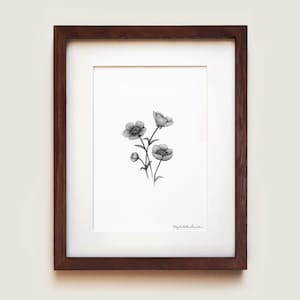 Buttercups Graphite Art Print: Solid Oak Frame, Archival Paper image 1