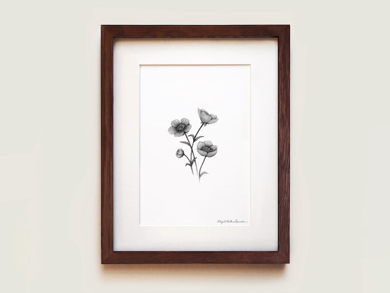 Buttercups Graphite Art Print: Solid Oak Frame, Archival Paper image 1