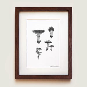 Woodland Mushrooms Art Print | Framed Art Print