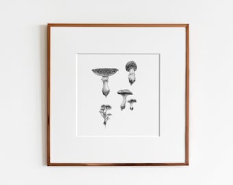 Woodland Mushrooms Art Print