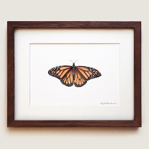Monarch Butterfly Watercolour Art Print | Entomology art | Framed Art