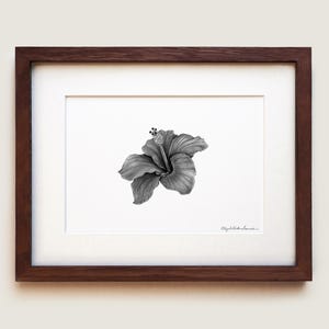 Hibiscus Art Print | Framed Art Print