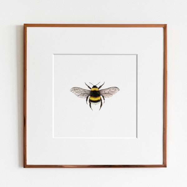 Bumblebee Art Print (in colour)