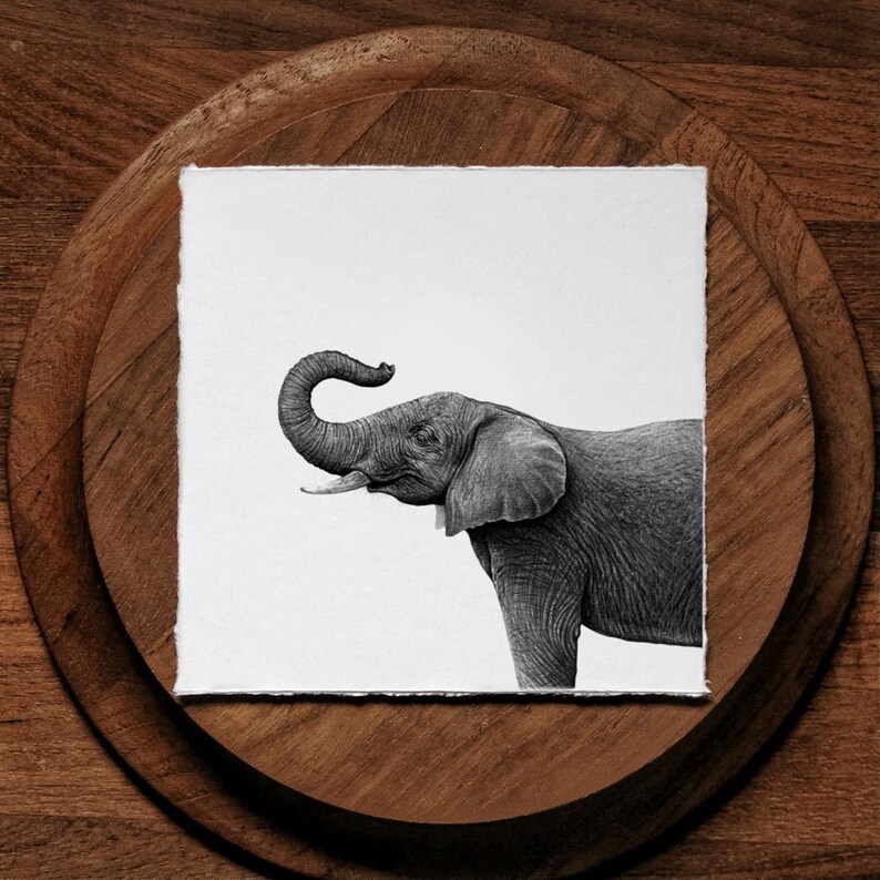 Elephant Art Print image 2