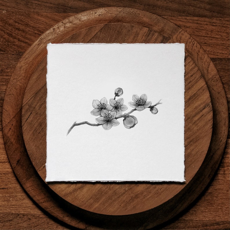 Cherry Blossoms Art Print image 2