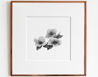 Pacific Dogwood Flowers Art Print