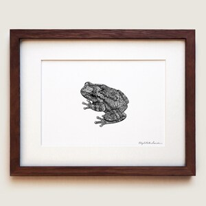 May include: A black and white pen and ink drawing of a frog in a brown wood frame with a white mat.