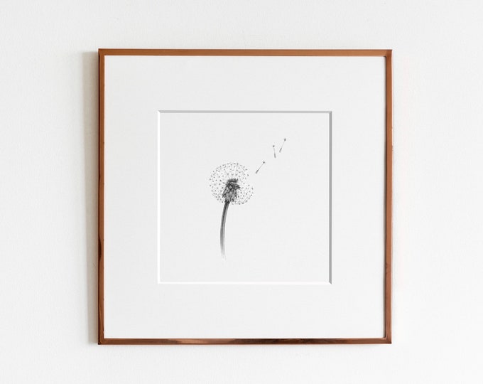 Dandelion Art Print