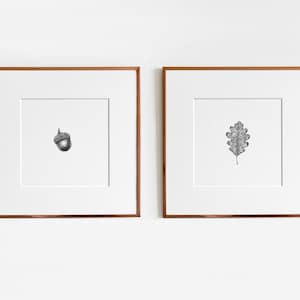 Oak Art Print set | Botanical print collection | Diptych Wall Art