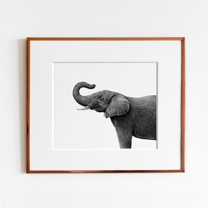 Elephant Art Print image 4