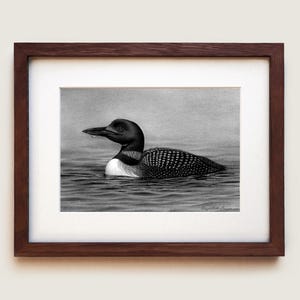 Common Loon (Gavia immer) Graphite Drawing Art Print | Framed Art Print