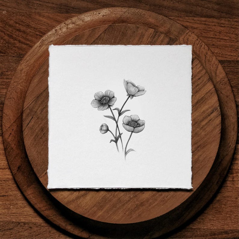 Buttercups Graphite Art Print: Solid Oak Frame, Archival Paper image 5