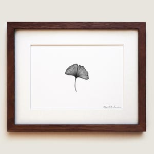 Ginkgo Leaf (Ginkgo biloba) Botanical Art Print | Maidenhair Leaf | Framed Art Print