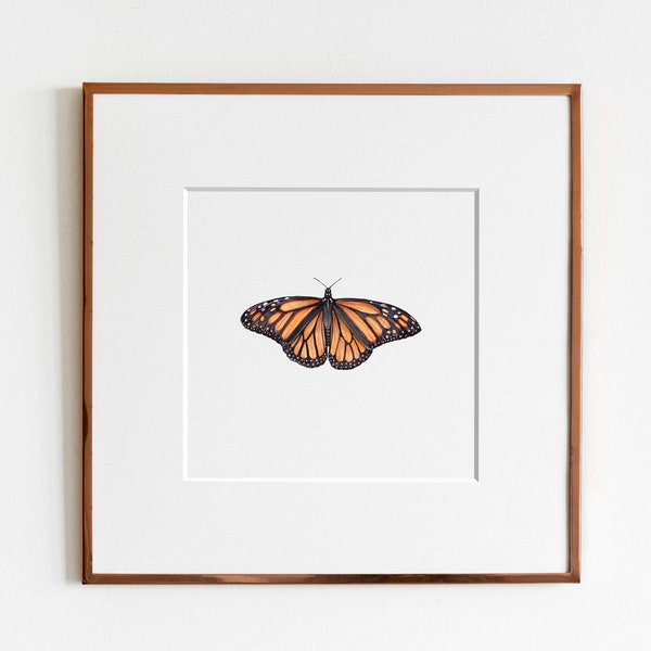 Monarch Butterfly Watercolour Art Print | Entomology art |