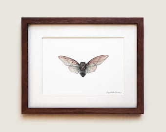 Ghost Cicada Watercolor Art Print: Solid Oak Frame