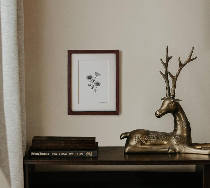 Buttercups Graphite Art Print: Solid Oak Frame, Archival Paper image 3
