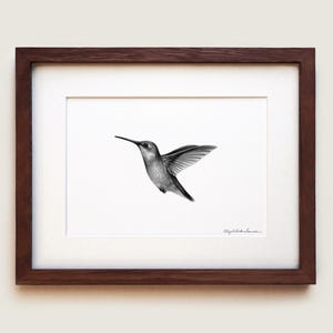 Ruby Throated Hummingbird Art Print | Bird Print | Ornithology art | Scientific Illustration | Framed Art Print