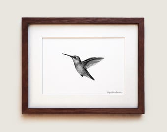 Impression d'art Colibri à gorge rubis : illustration scientifique, cadre en chêne massif