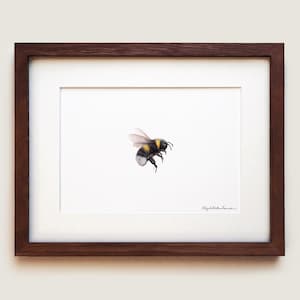 Bumblebee Art Print | Framed Art Print