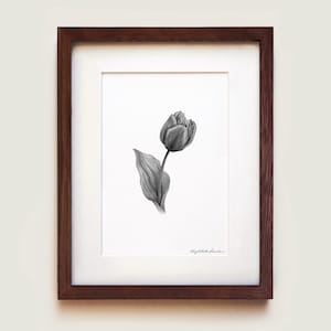 Tulip Art Print | Framed Art Print