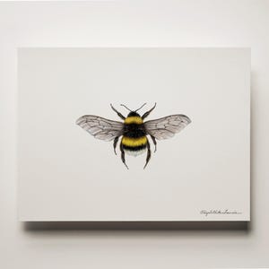 Bumblebee Art Print: Signed Archival Paper, Solid Oak Frame image 2