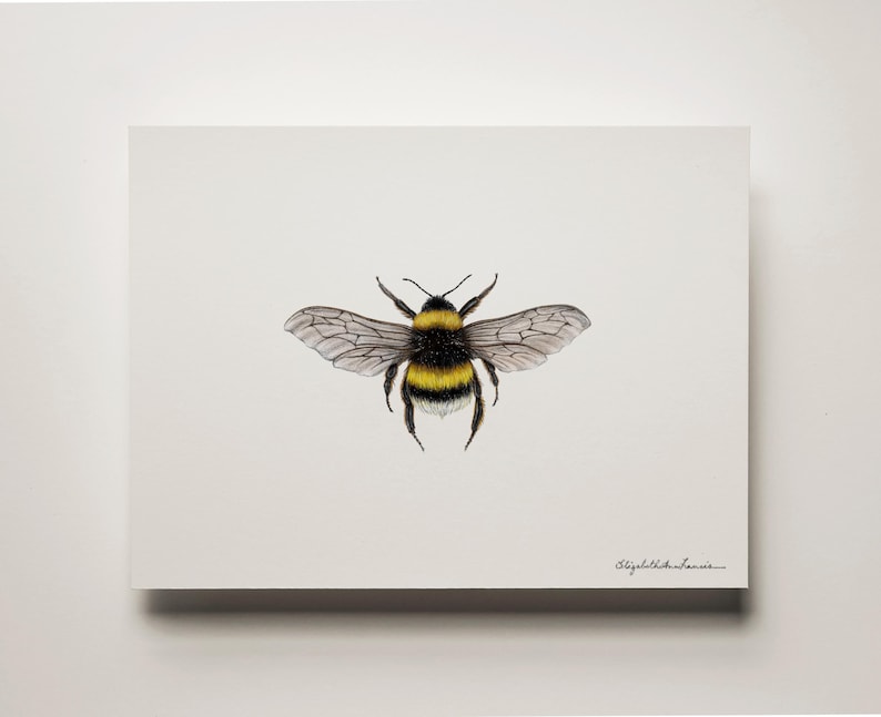 Bumblebee Art Print: Signed Archival Paper, Solid Oak Frame image 2