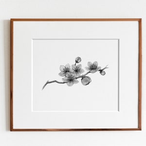 Cherry Blossoms Art Print image 9