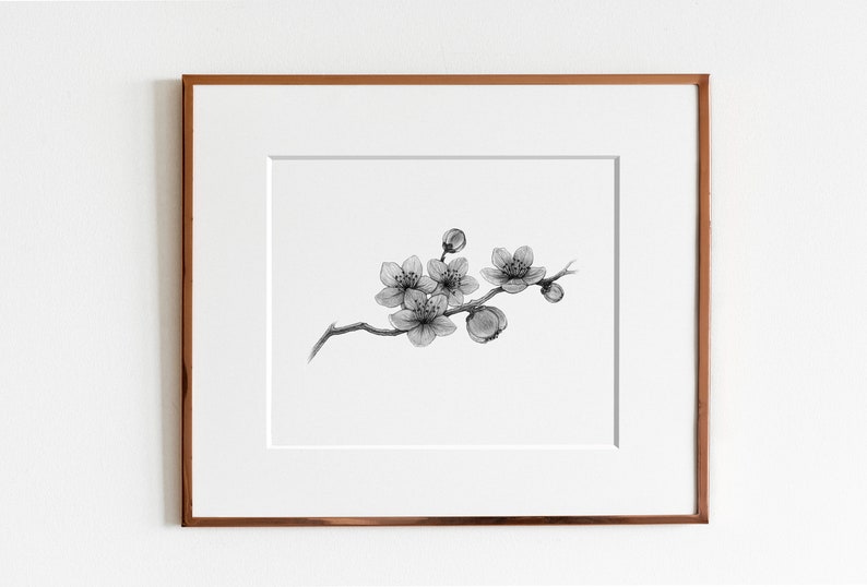 Cherry Blossoms Art Print image 9