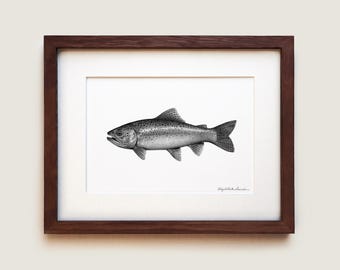 Impression de dessin graphite de truite arc-en-ciel (Oncorhynchus mykiss) | Impression d'art encadrée