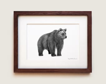 Grizzly Bear Limited Edition Graphite Drawing Print