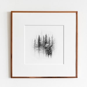 Through the Mist | Archival Fine Art Print | Moose (Alces alces) Art Print