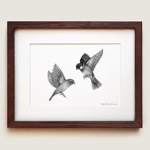 House Sparrows (Passer domesticus) Art Print | Framed Art Print
