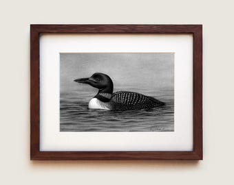 Common Loon Graphite Drawing Art Print: Solid Oak Framed Wall Art