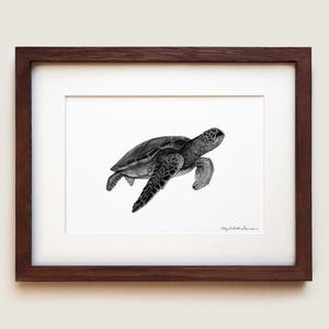 Green Sea Turtle (Chelonia mydas) Art Print | Framed Art Print