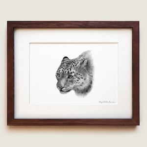 Snow Leopard (Panthera uncia) Art Print | Framed Art Print