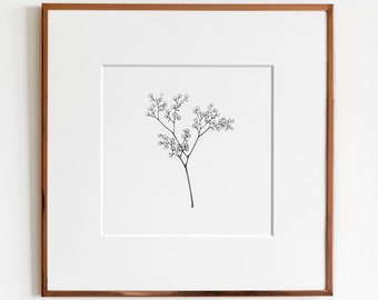 Baby’s Breath Art Print