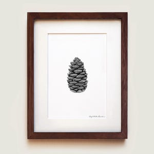 White Spruce (Picea glauca) Cone Art Print | Botanical Art | Framed Art Print