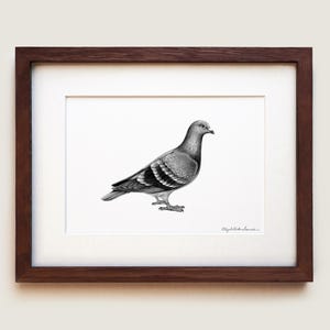 以下が含まれることがあります： 横向きの鳩を描いた詳細なモノクロの鉛筆画の額入りアートプリント。作品は白いマット台紙とダークブラウンの木製フレームに収められています。絵の右下隅に署名が見えます。
