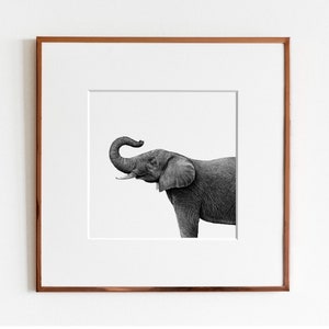 Elephant Art Print image 1