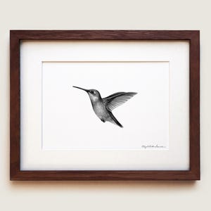 Impression d'art Colibri à gorge rubis : illustration scientifique, cadre en chêne massif