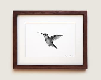 Ruby Throated Hummingbird Art Print: Scientific Illustration, Solid Oak Frame