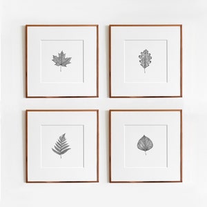 Leaves Art Print Collection | Leaves of Canada | Botanical Art Print set